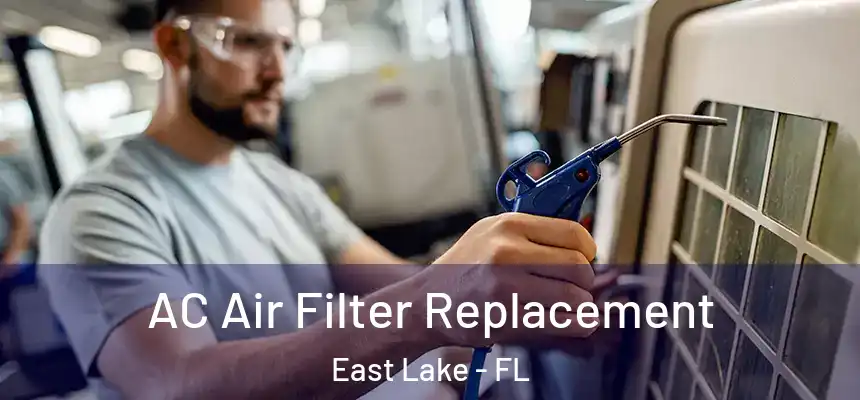 AC Air Filter Replacement East Lake - FL