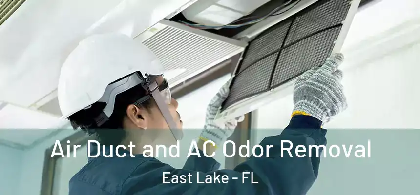 Air Duct and AC Odor Removal East Lake - FL