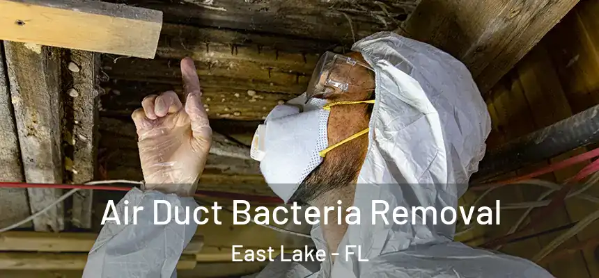 Air Duct Bacteria Removal East Lake - FL