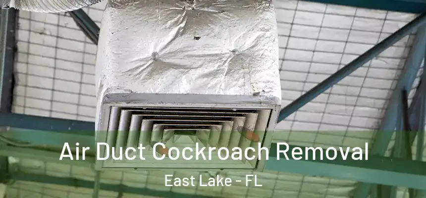 Air Duct Cockroach Removal East Lake - FL