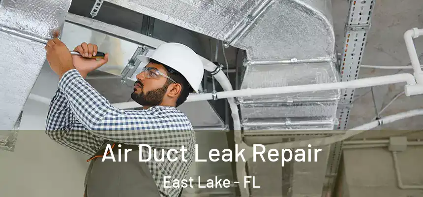 Air Duct Leak Repair East Lake - FL