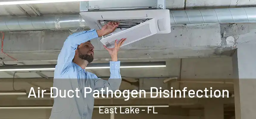 Air Duct Pathogen Disinfection East Lake - FL