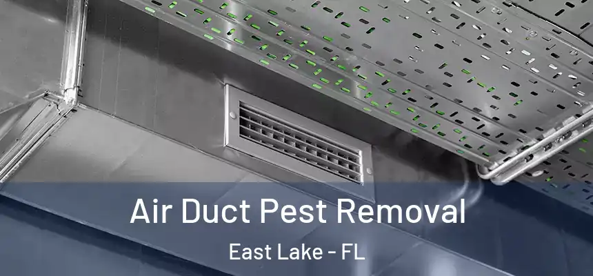 Air Duct Pest Removal East Lake - FL