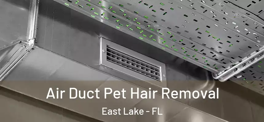 Air Duct Pet Hair Removal East Lake - FL