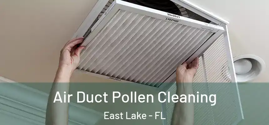 Air Duct Pollen Cleaning East Lake - FL