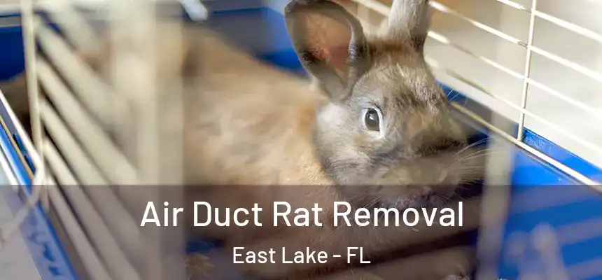 Air Duct Rat Removal East Lake - FL