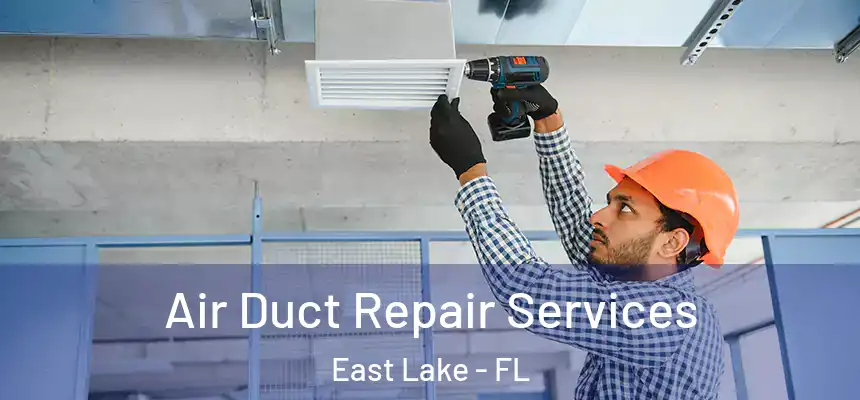 Air Duct Repair Services East Lake - FL