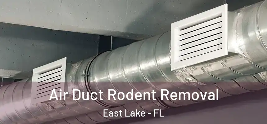Air Duct Rodent Removal East Lake - FL