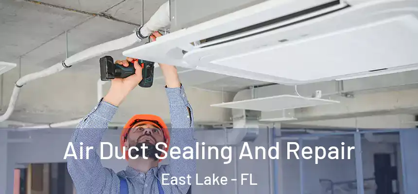 Air Duct Sealing And Repair East Lake - FL