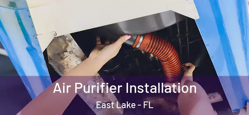Air Purifier Installation East Lake - FL