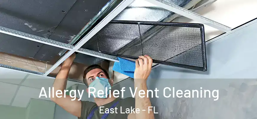 Allergy Relief Vent Cleaning East Lake - FL