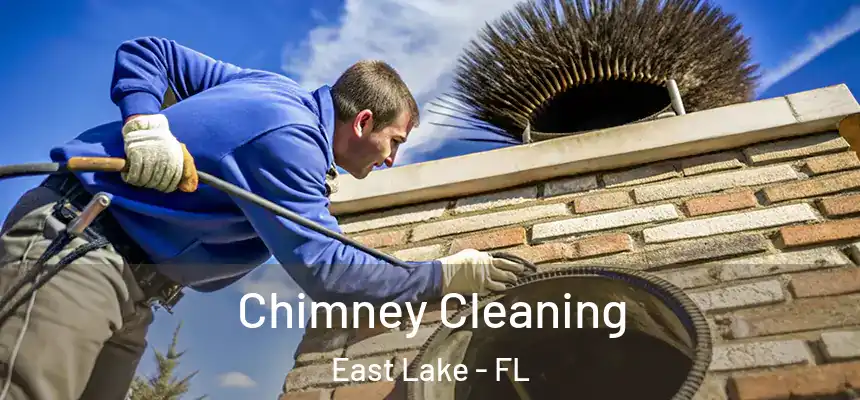 Chimney Cleaning East Lake - FL