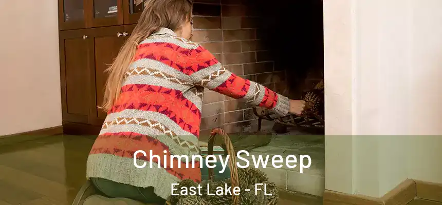 Chimney Sweep East Lake - FL