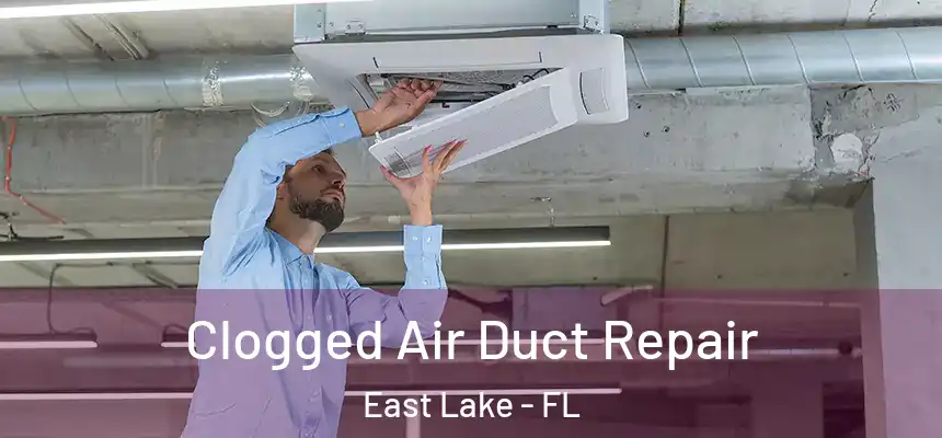Clogged Air Duct Repair East Lake - FL