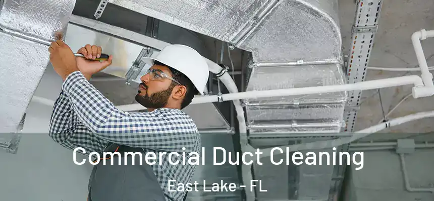 Commercial Duct Cleaning East Lake - FL