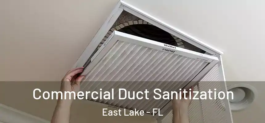 Commercial Duct Sanitization East Lake - FL