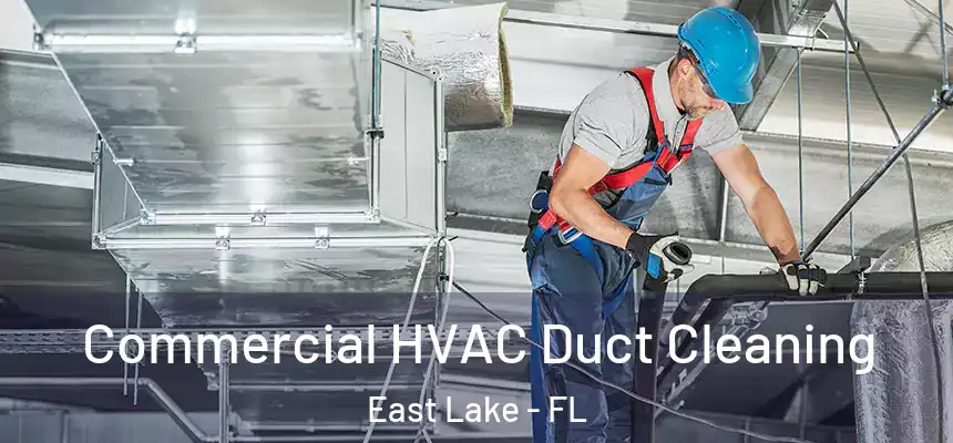 Commercial HVAC Duct Cleaning East Lake - FL