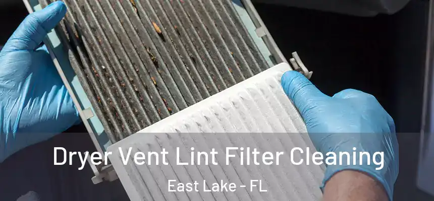 Dryer Vent Lint Filter Cleaning East Lake - FL