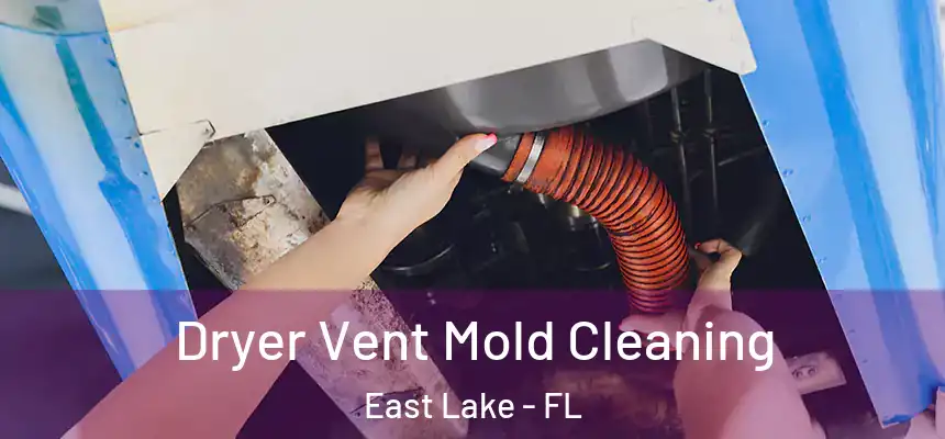Dryer Vent Mold Cleaning East Lake - FL