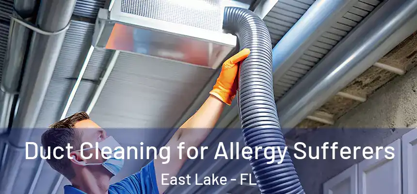 Duct Cleaning for Allergy Sufferers East Lake - FL
