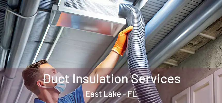 Duct Insulation Services East Lake - FL