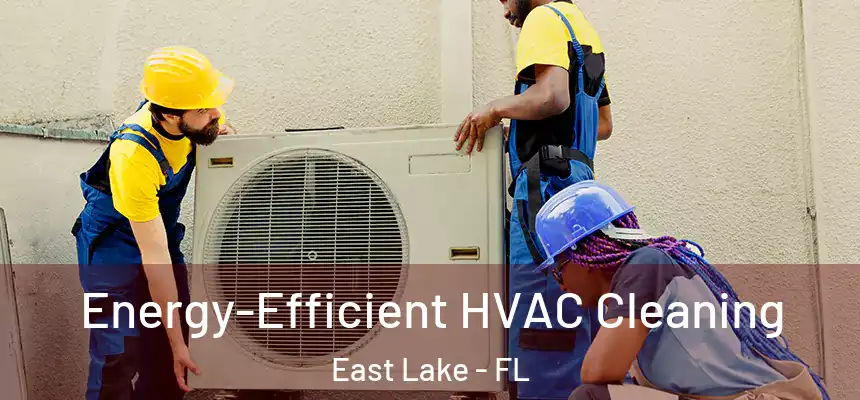 Energy-Efficient HVAC Cleaning East Lake - FL