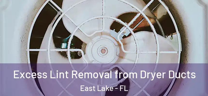 Excess Lint Removal from Dryer Ducts East Lake - FL