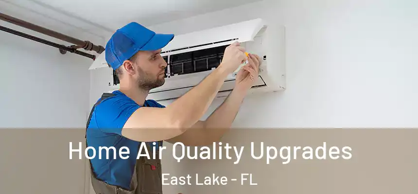 Home Air Quality Upgrades East Lake - FL