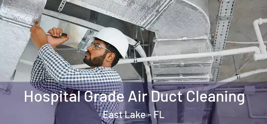 Hospital Grade Air Duct Cleaning East Lake - FL