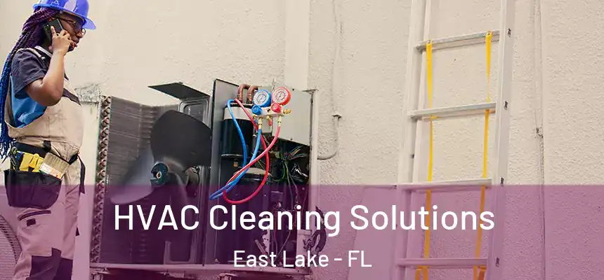 HVAC Cleaning Solutions East Lake - FL