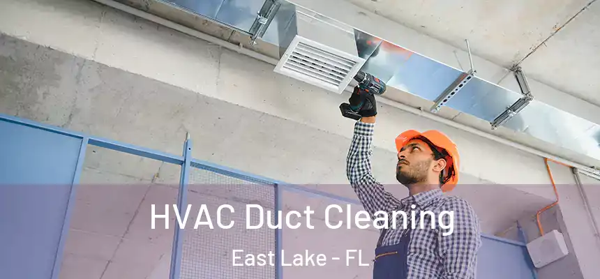 HVAC Duct Cleaning East Lake - FL