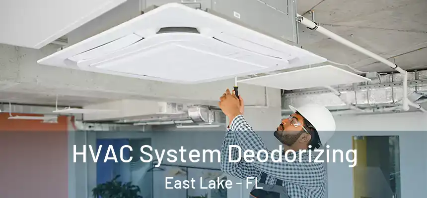 HVAC System Deodorizing East Lake - FL