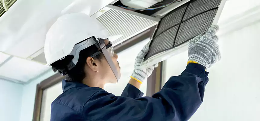 Our Mold & Mildew Removal from Air Ducts Services in East Lake, FL