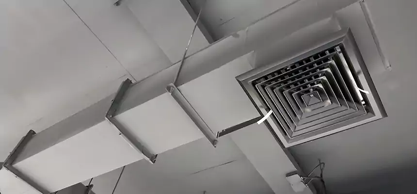 Our Rodent Droppings In Vents Services in East Lake, FL