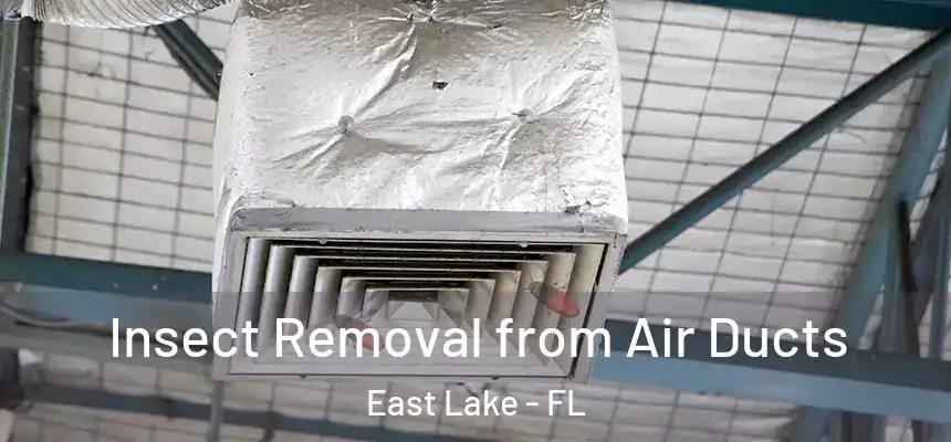 Insect Removal from Air Ducts East Lake - FL