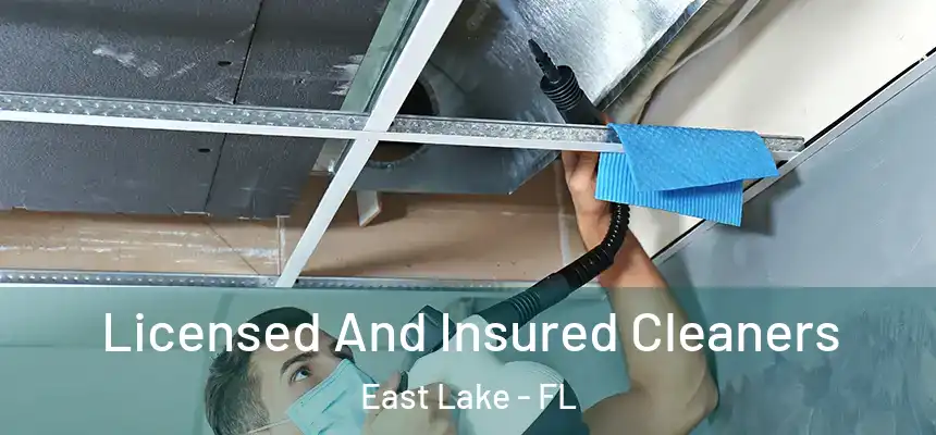 Licensed And Insured Cleaners East Lake - FL