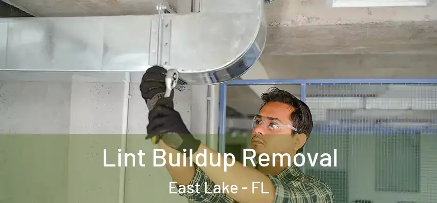 Lint Buildup Removal East Lake - FL