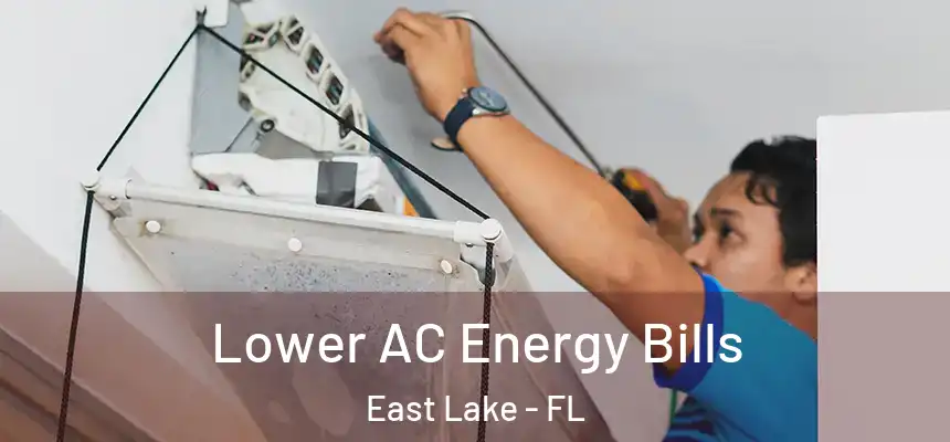 Lower AC Energy Bills East Lake - FL