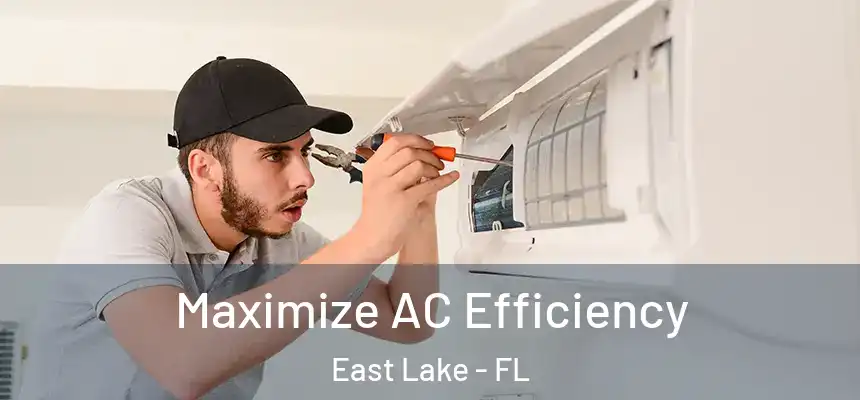 Maximize AC Efficiency East Lake - FL