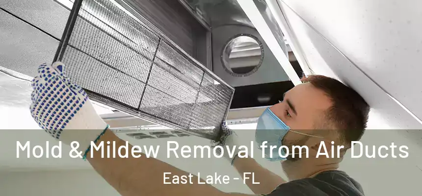 Mold & Mildew Removal from Air Ducts East Lake - FL