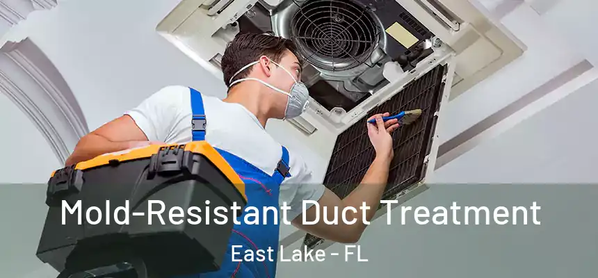 Mold-Resistant Duct Treatment East Lake - FL