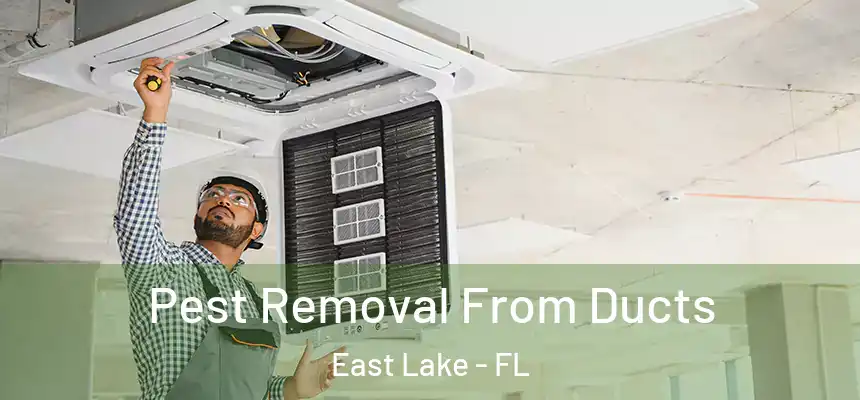 Pest Removal From Ducts East Lake - FL