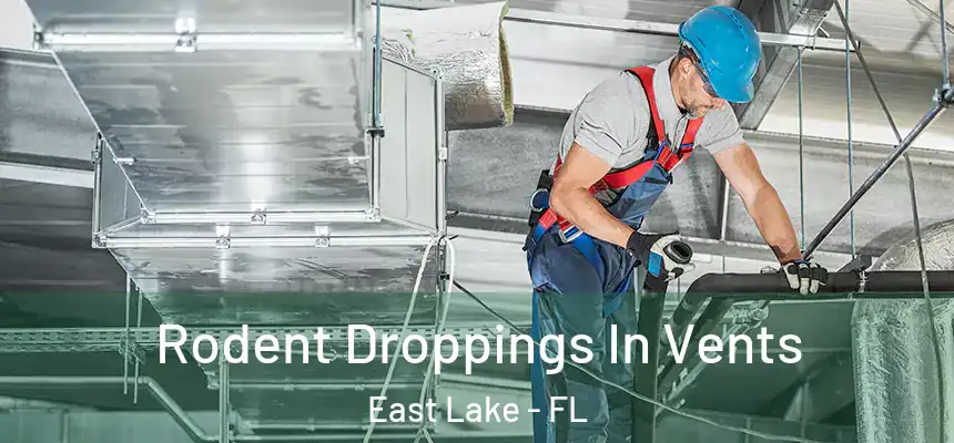 Rodent Droppings In Vents East Lake - FL