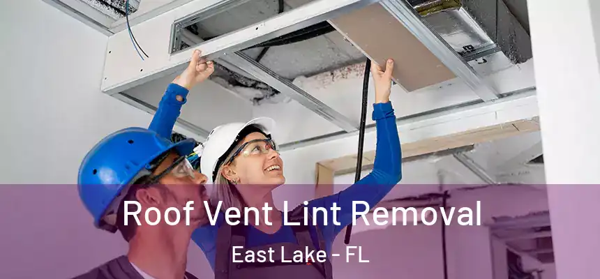 Roof Vent Lint Removal East Lake - FL