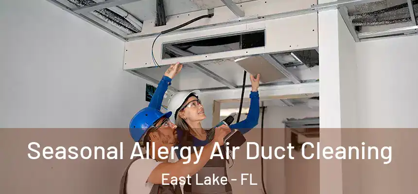Seasonal Allergy Air Duct Cleaning East Lake - FL