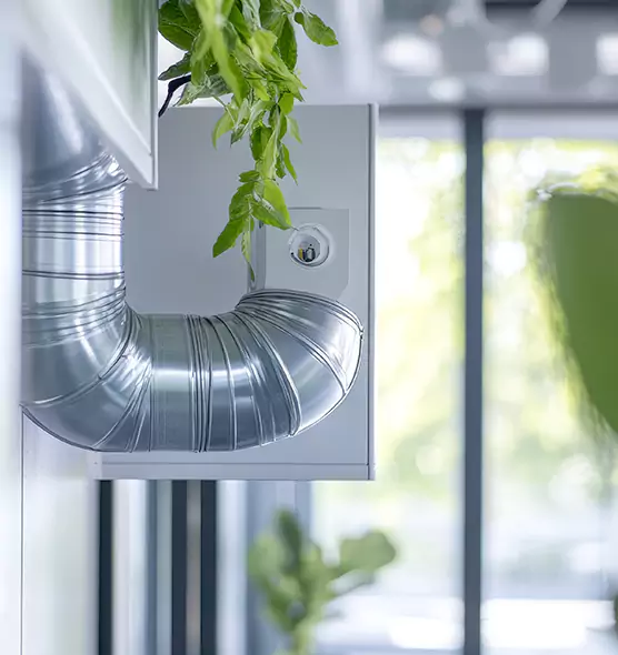 Professional Eco-Friendly Duct Cleaning Services in East Lake, FL