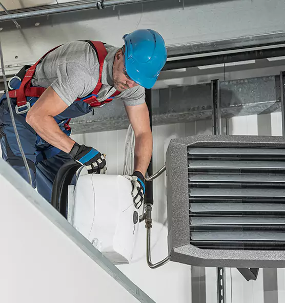 About HVAC Mold Remediation Service in East Lake, FL