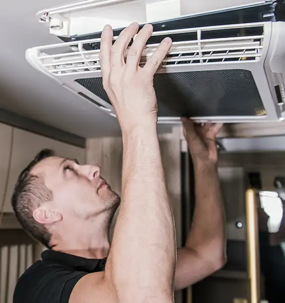  Professional Licensed And Insured Cleaners in East Lake, FL