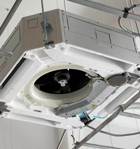 Professional Roof Vent Lint Removal East Lake, FL