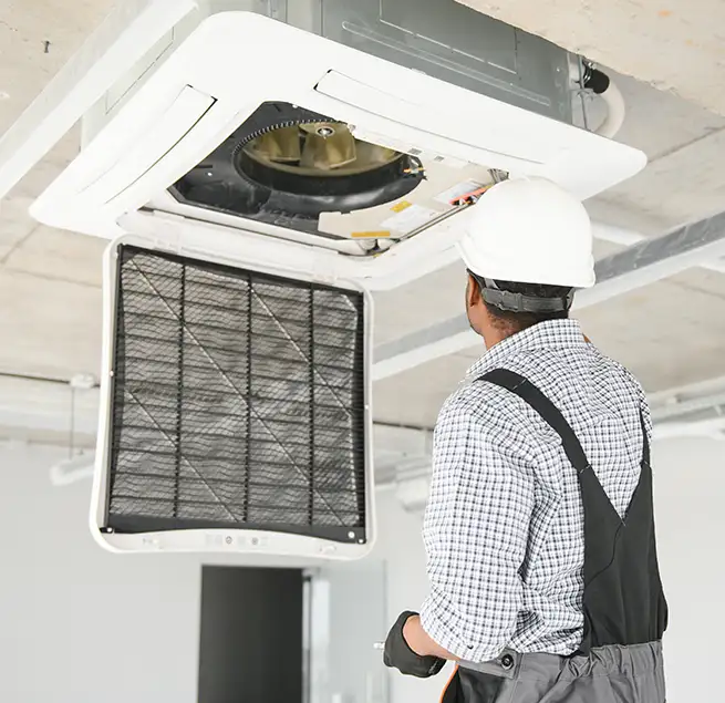 Why Homeowners & Businesses Trust Us in East Lake, FL?